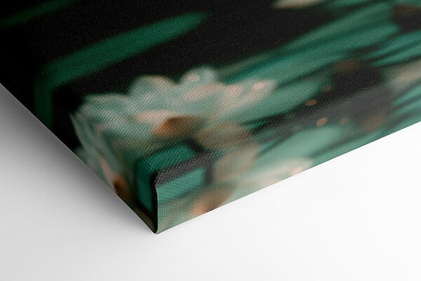 White flower on water White flower on water