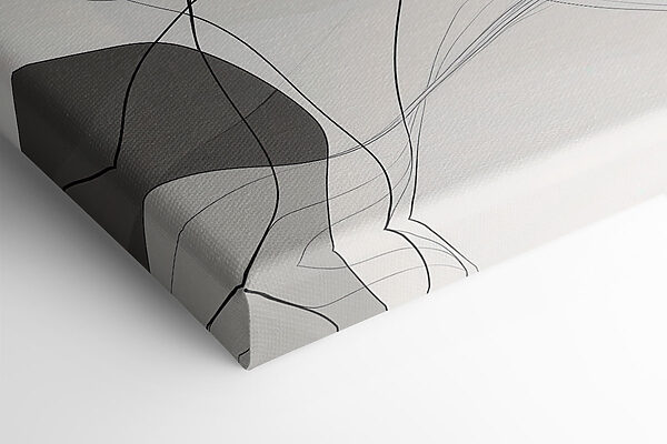 White and black background with black lines White and black background with black lines