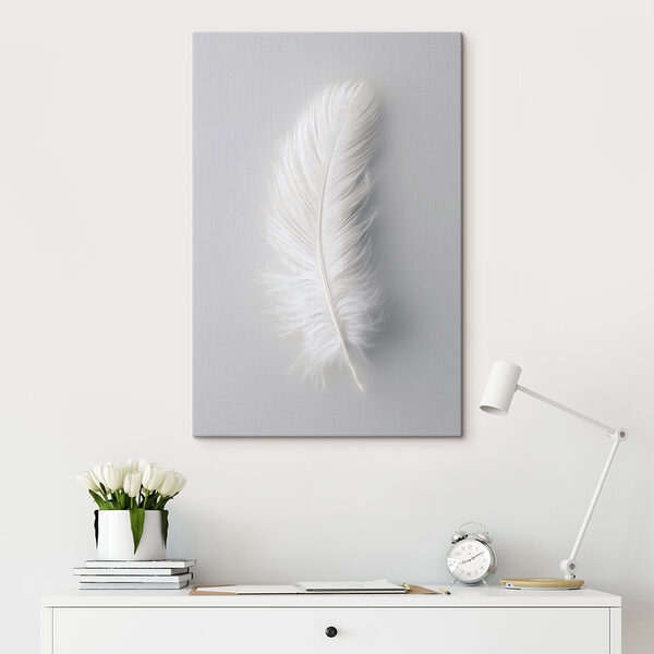 White feather on a white background