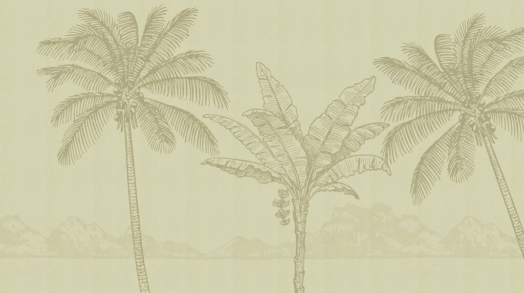 Palm trees and a beach Palm trees and a beach