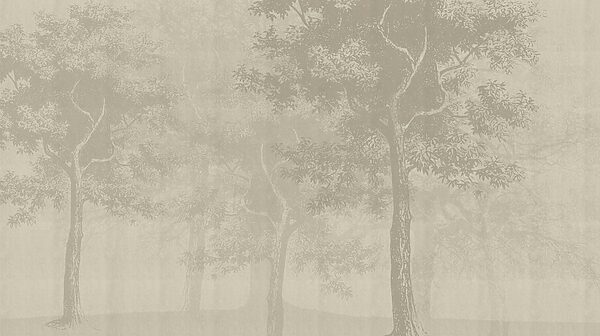 Group of trees in a foggy forest