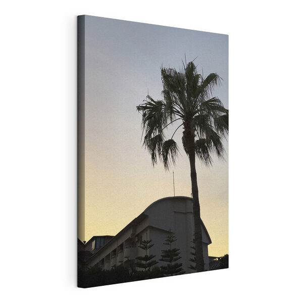 Canvas Schilderijen Canvas Schilderijen Palmboom voor een gebouw (Artikelnummer: s49696)