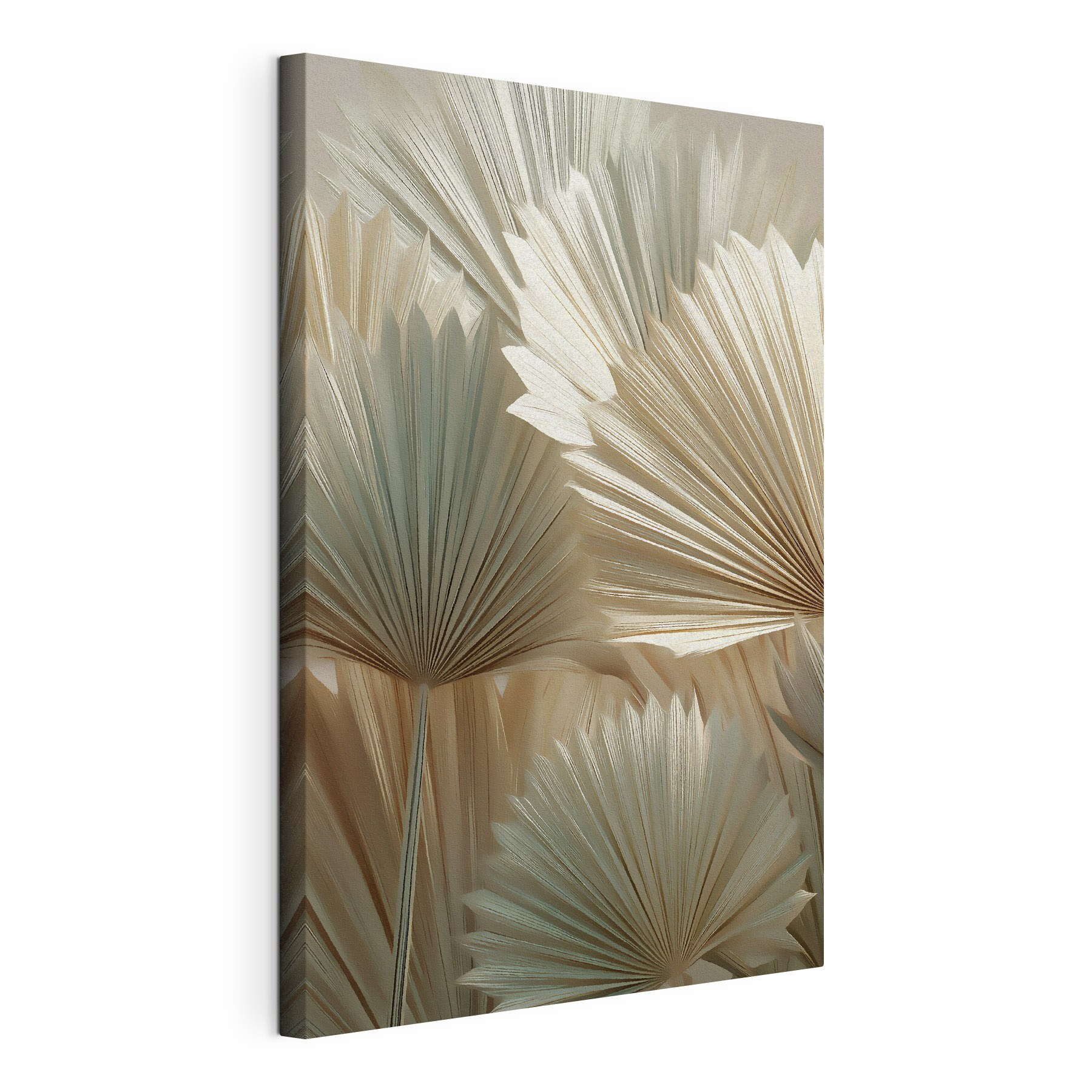Group of fan shaped leaves Group of fan shaped leaves