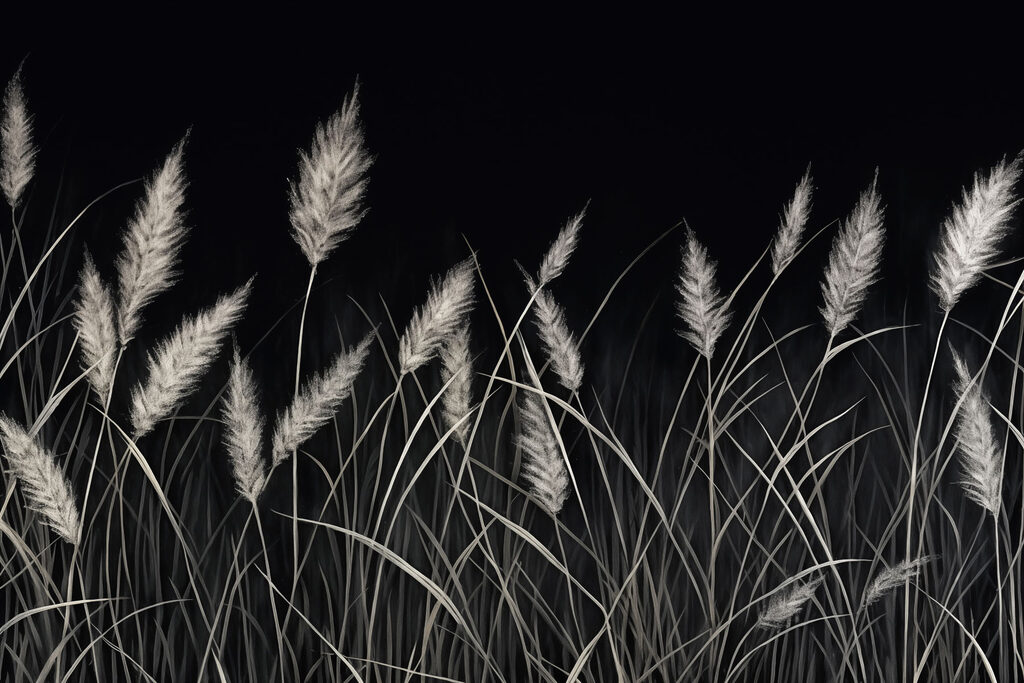 Soft grasses in a dark setting