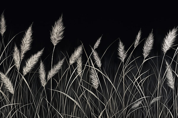 Soft grasses in a dark setting