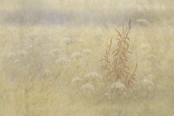 Field of flowers and grass Field of flowers and grass