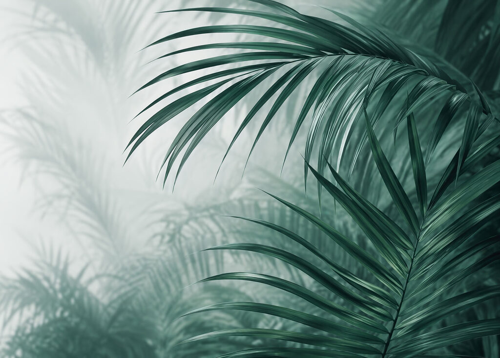 Fresh foliage in a serene setting Fresh foliage in a serene setting