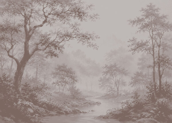River running through a forest