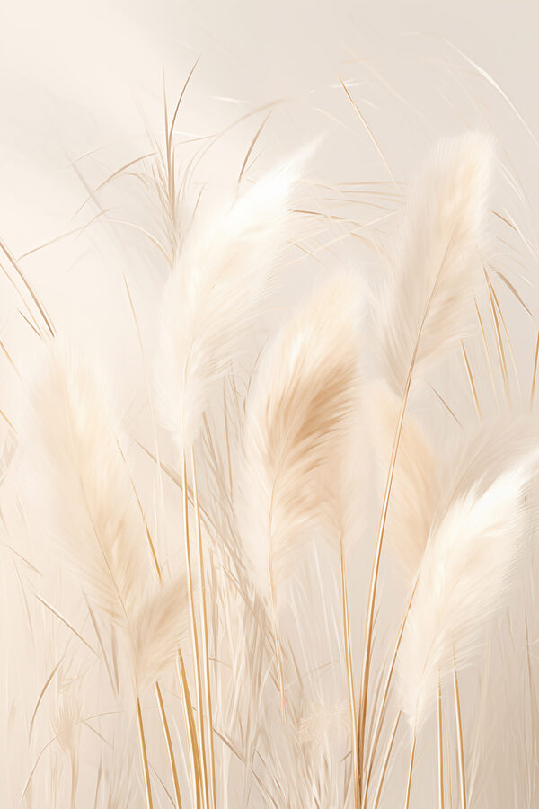 Group of white and brown feathers