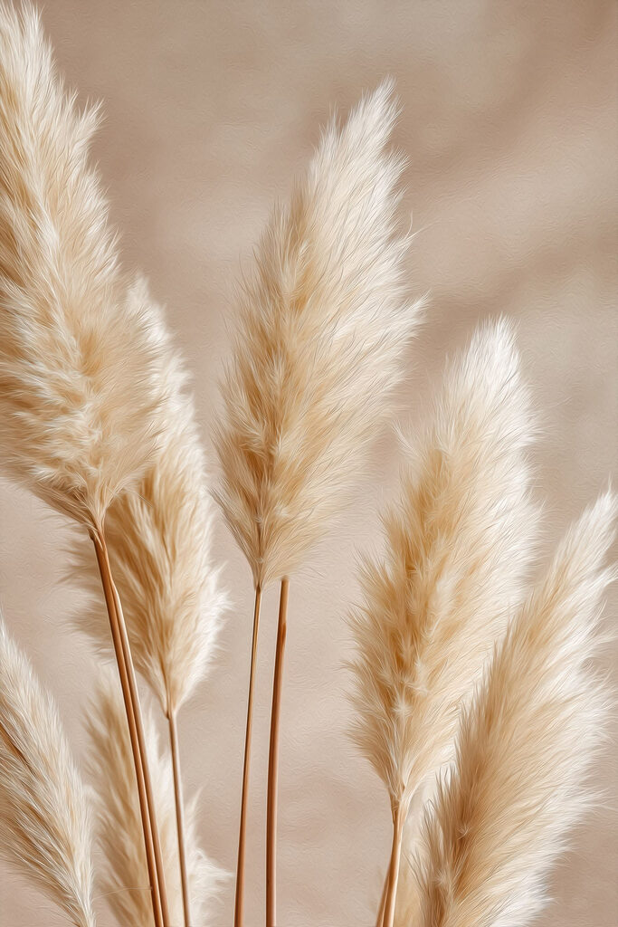 Group of white plants