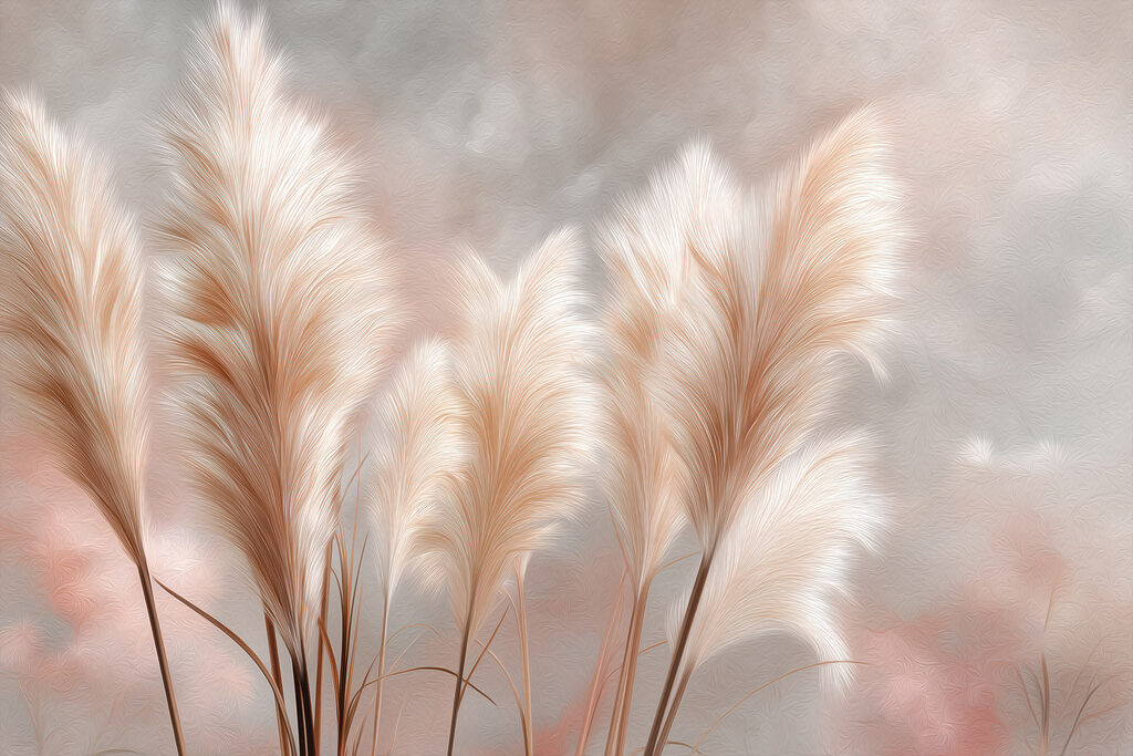 Group of feathered plants