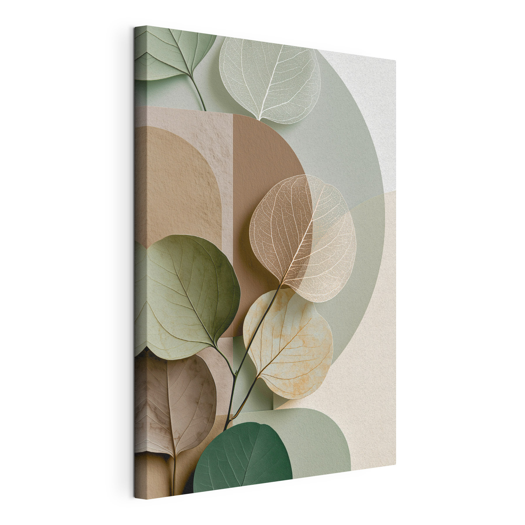 Gentle curves and delicate leaf patterns Gentle curves and delicate leaf patterns