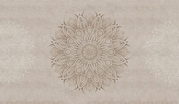 Circular pattern on a paper Circular pattern on a paper