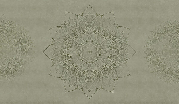 Circular pattern on a paper Circular pattern on a paper