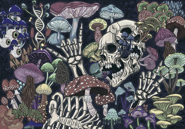 Skeleton and mushrooms with a hand Skeleton and mushrooms with a hand
