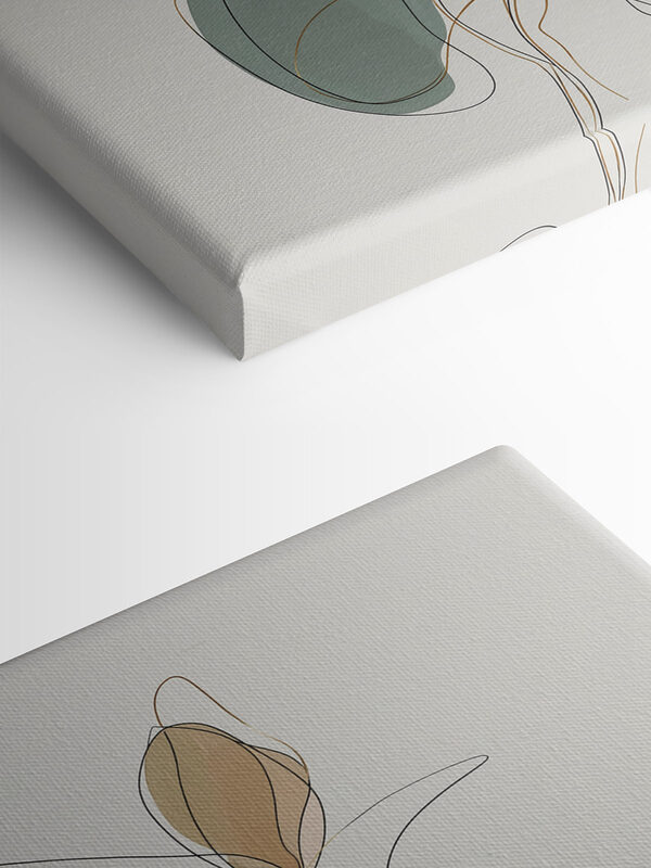Drawing of a plant