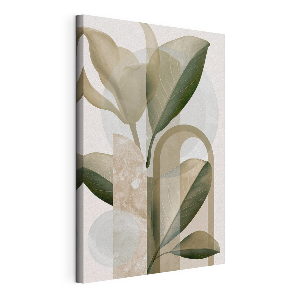 Natural forms in soft colors