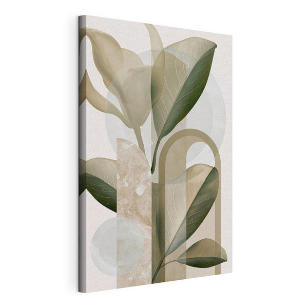 Natural forms in soft colors