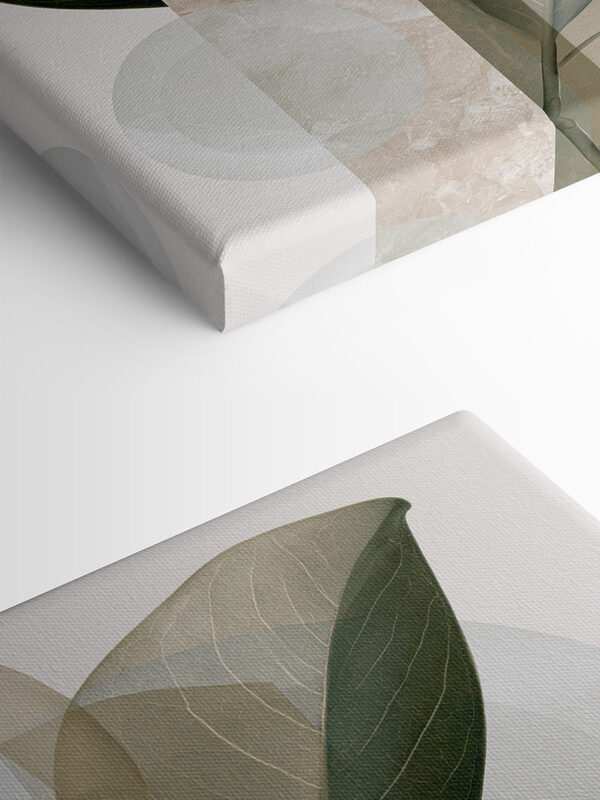 Natural forms in soft colors