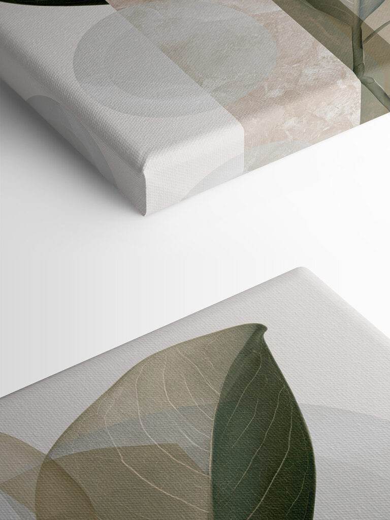 Natural forms in soft colors