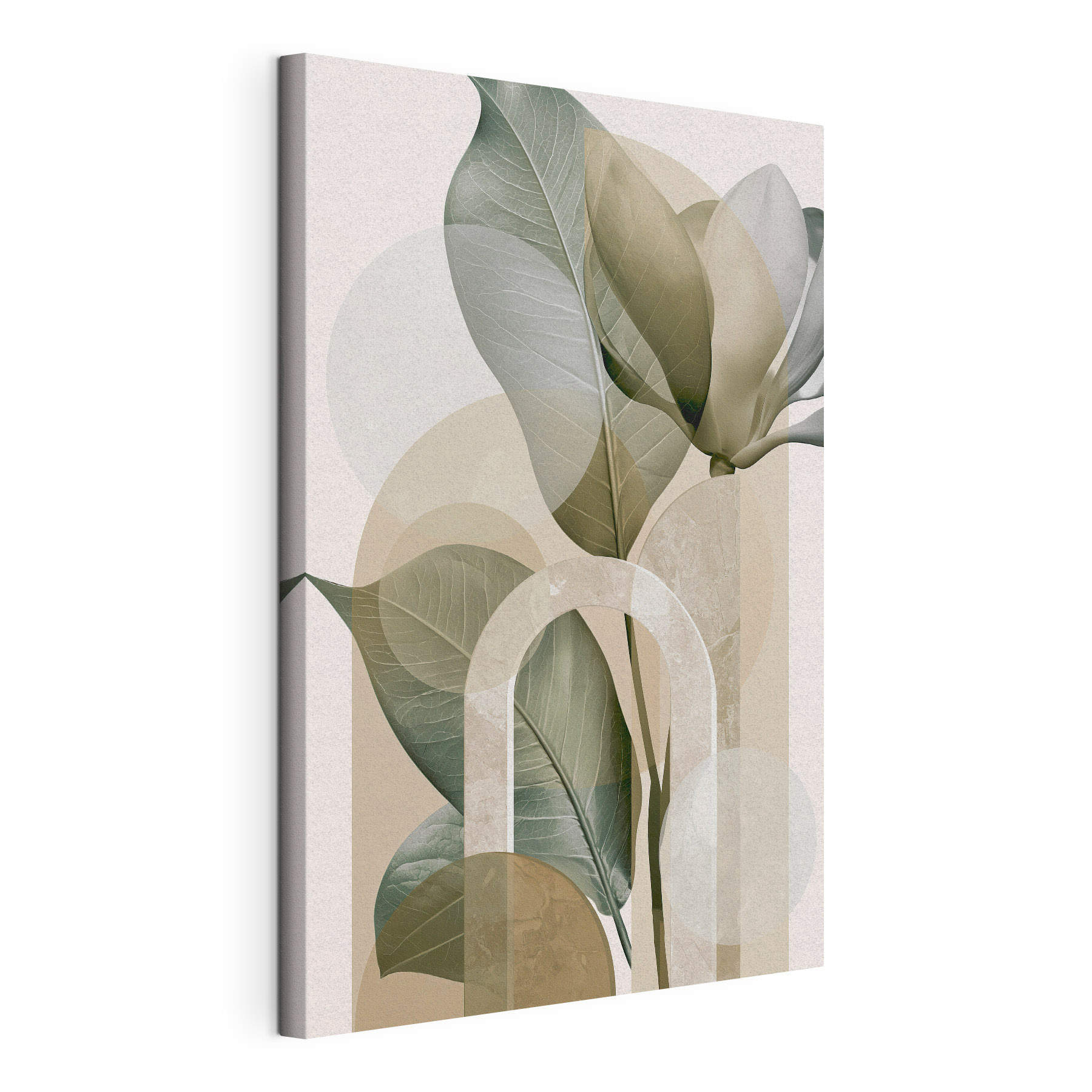 Soft foliage on a subtle background Soft foliage on a subtle background
