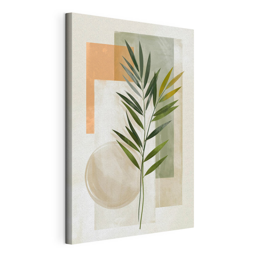 Plant with leaves on a white background