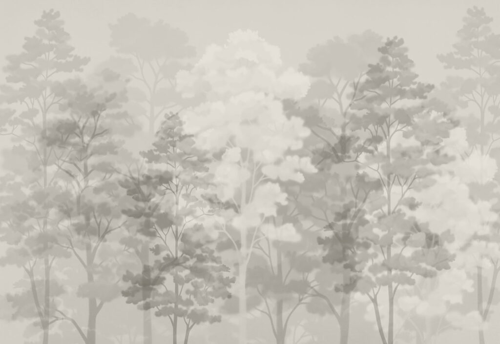Group of trees in a foggy forest