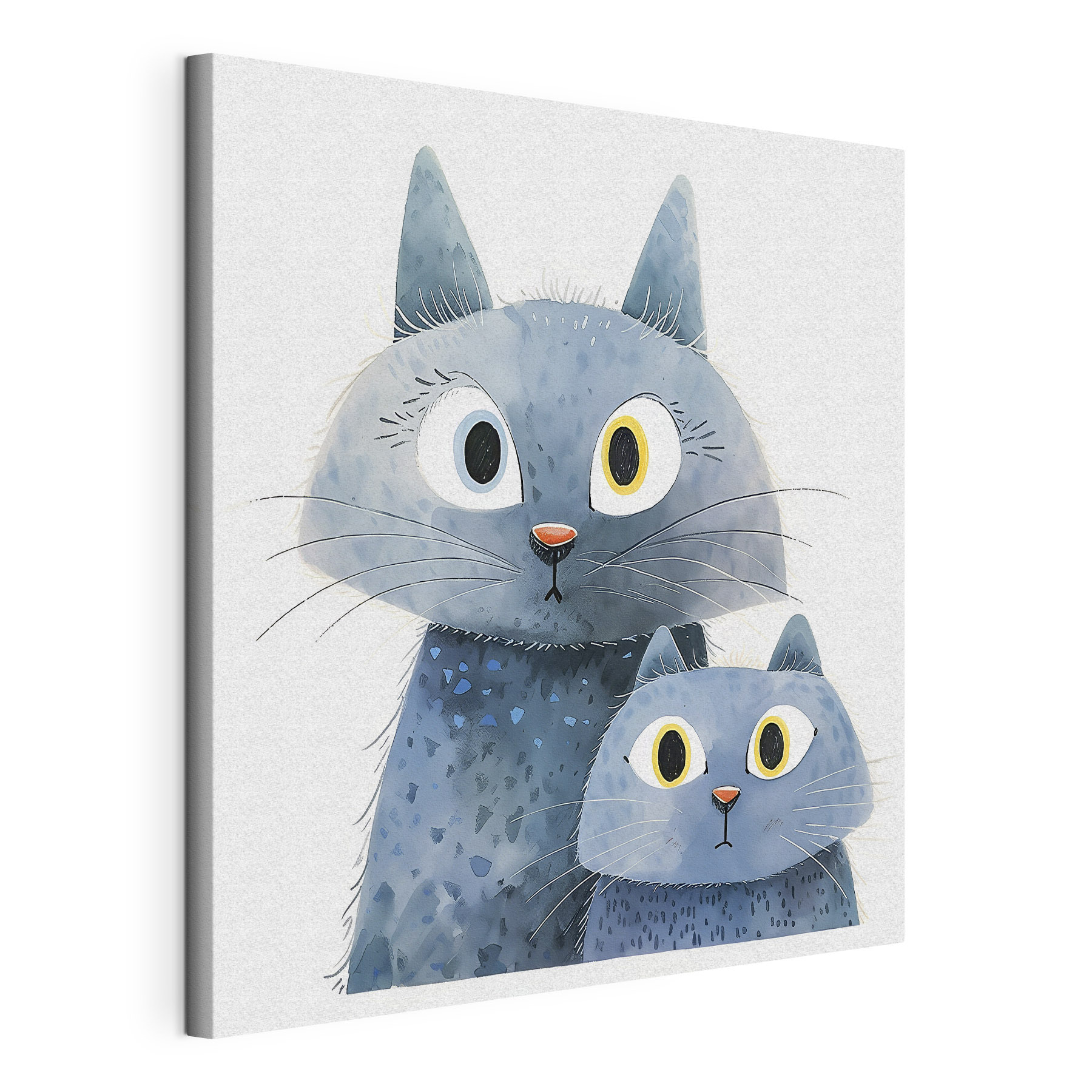 A cat and a cat