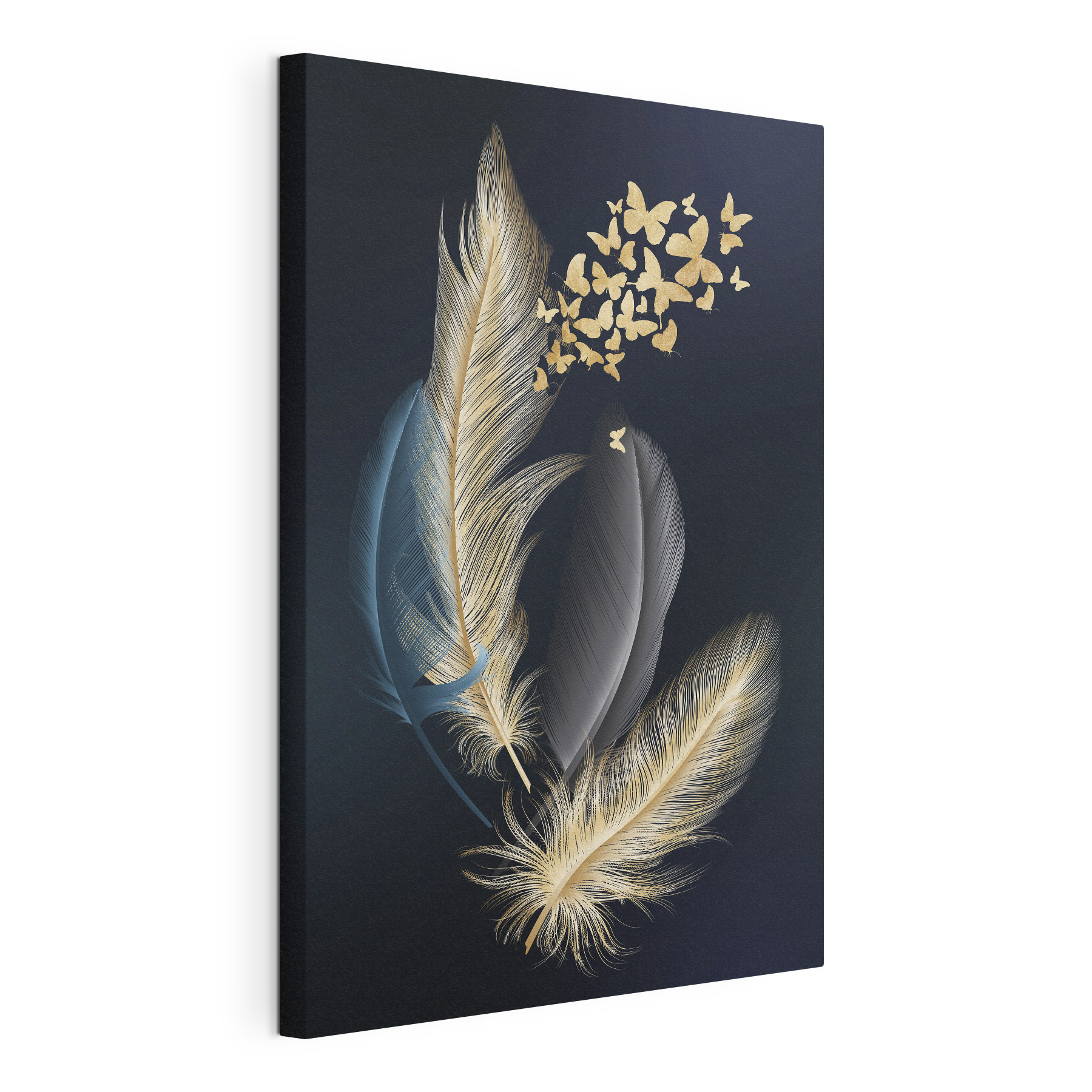 A group of feathers with butterflies A group of feathers with butterflies