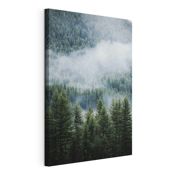 Canvas Schilderijen Bos met mist en wolken (Artikelnummer: s34825) Canvas Schilderijen Canvas Schilderijen Bos met mist en wolken (Artikelnummer: s34825)