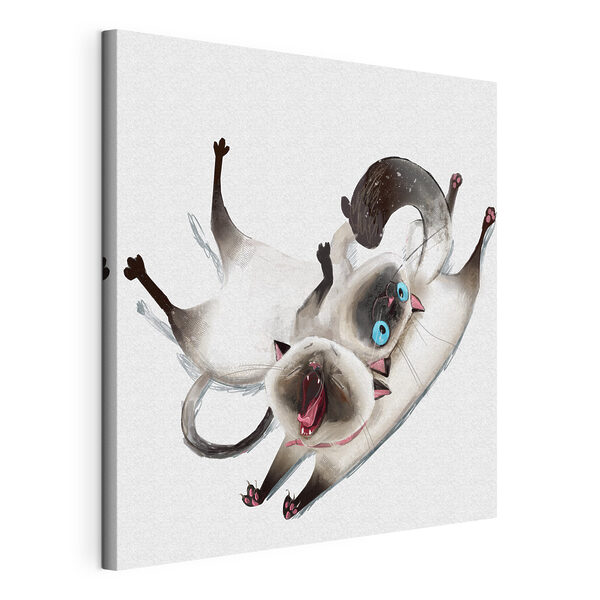 Canvas Schilderijen Een kat die op zijn rug ligt