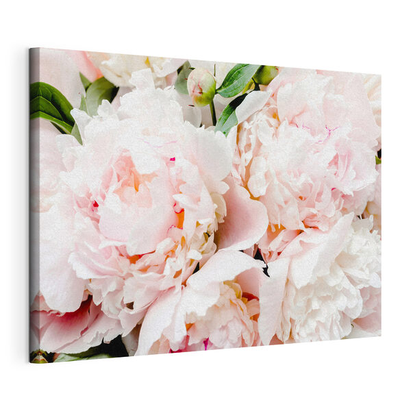 Een groep roze bloemen Canvas Schilderijen Een groep roze bloemen