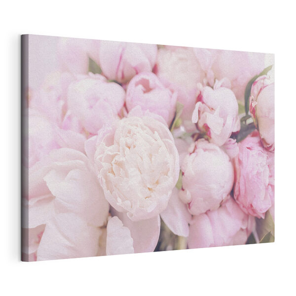 Een groep roze bloemen Canvas Schilderijen Een groep roze bloemen