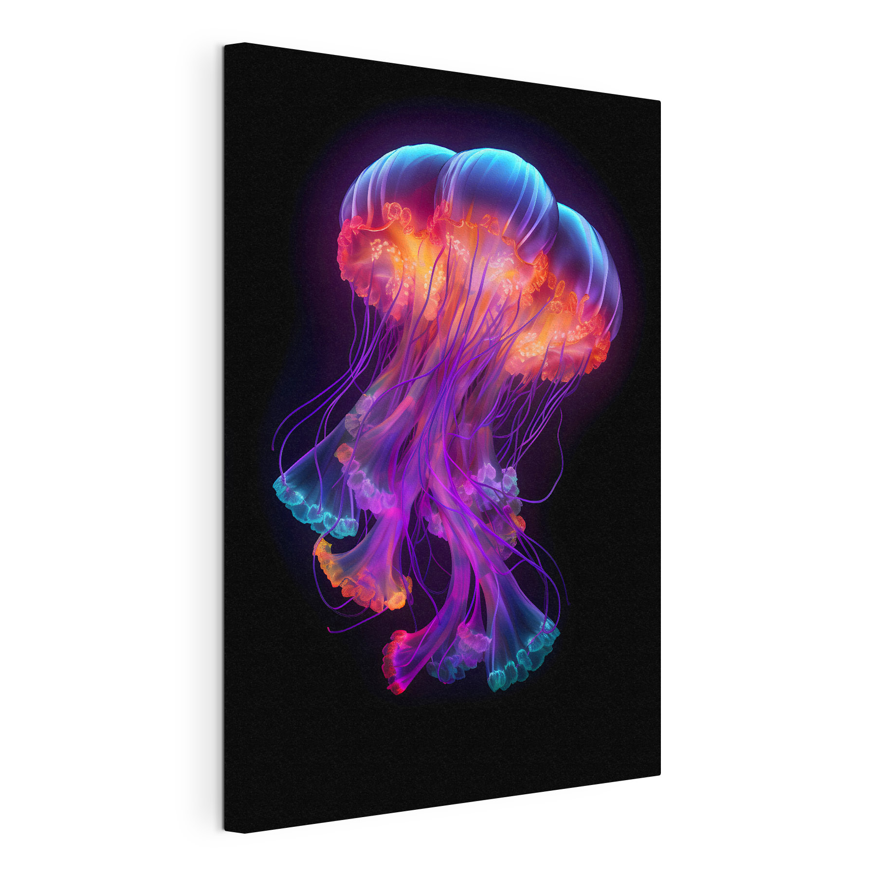 A colorful jellyfish with many tentacles