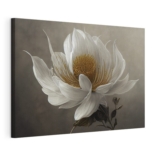 Een witte bloem met een geel hart Canvas Schilderijen Een witte bloem met een geel hart