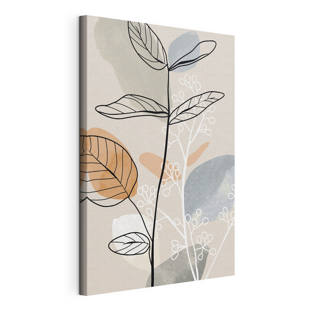 A drawing of a plant