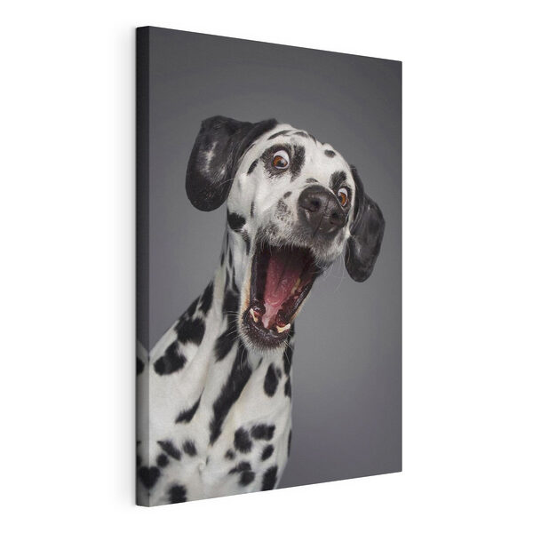 Canvas Schilderijen Een hond met zijn bek open