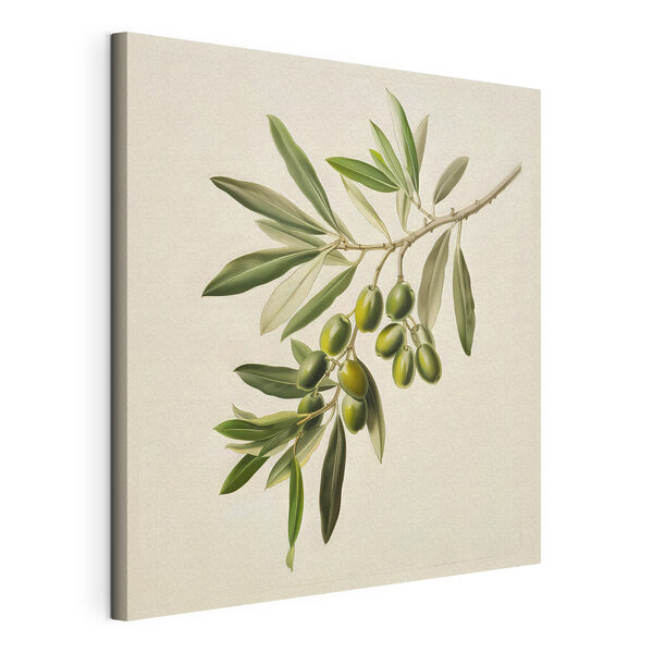 Een groene vrucht aan een tak Canvas Schilderijen Een groene vrucht aan een tak
