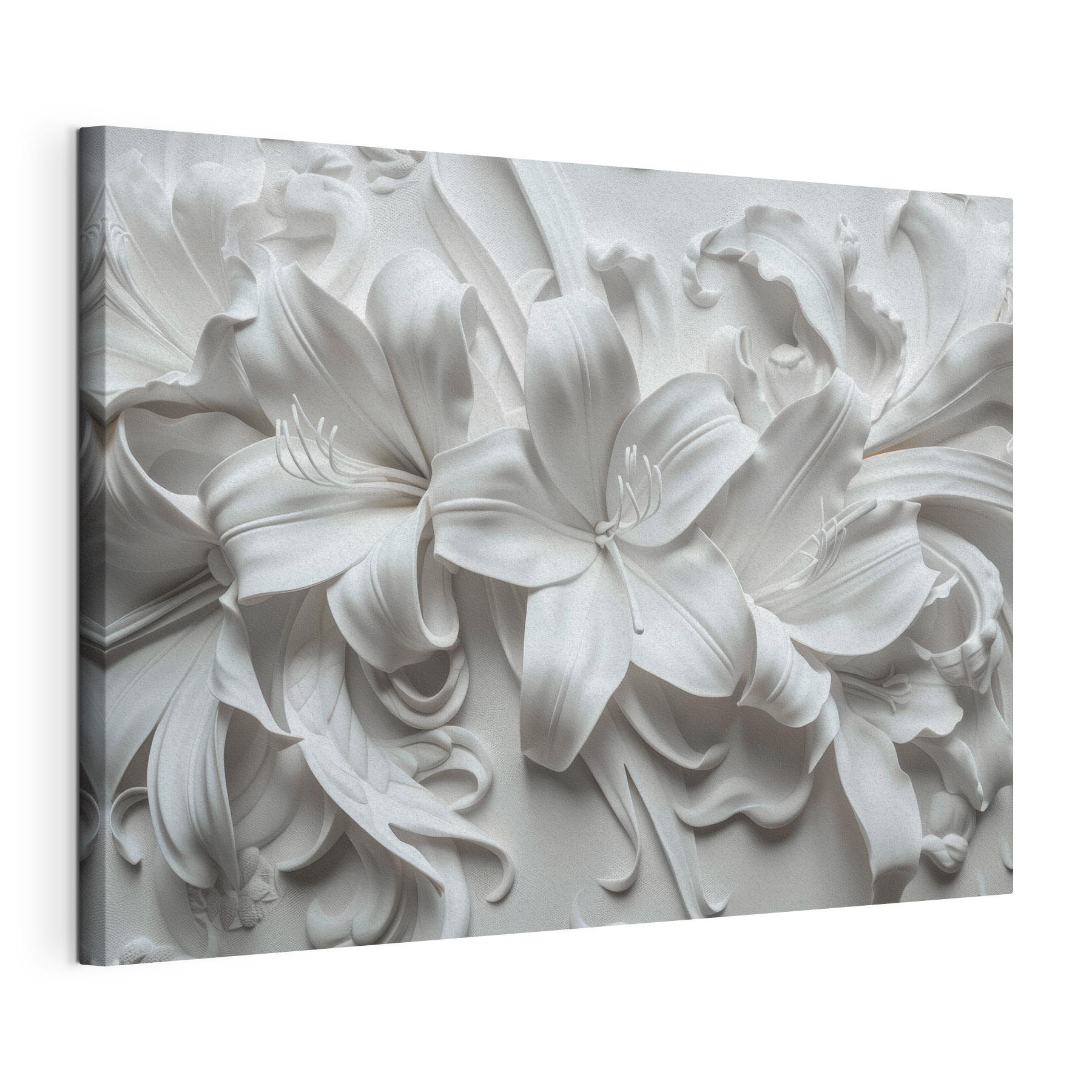 White flower on a white surface