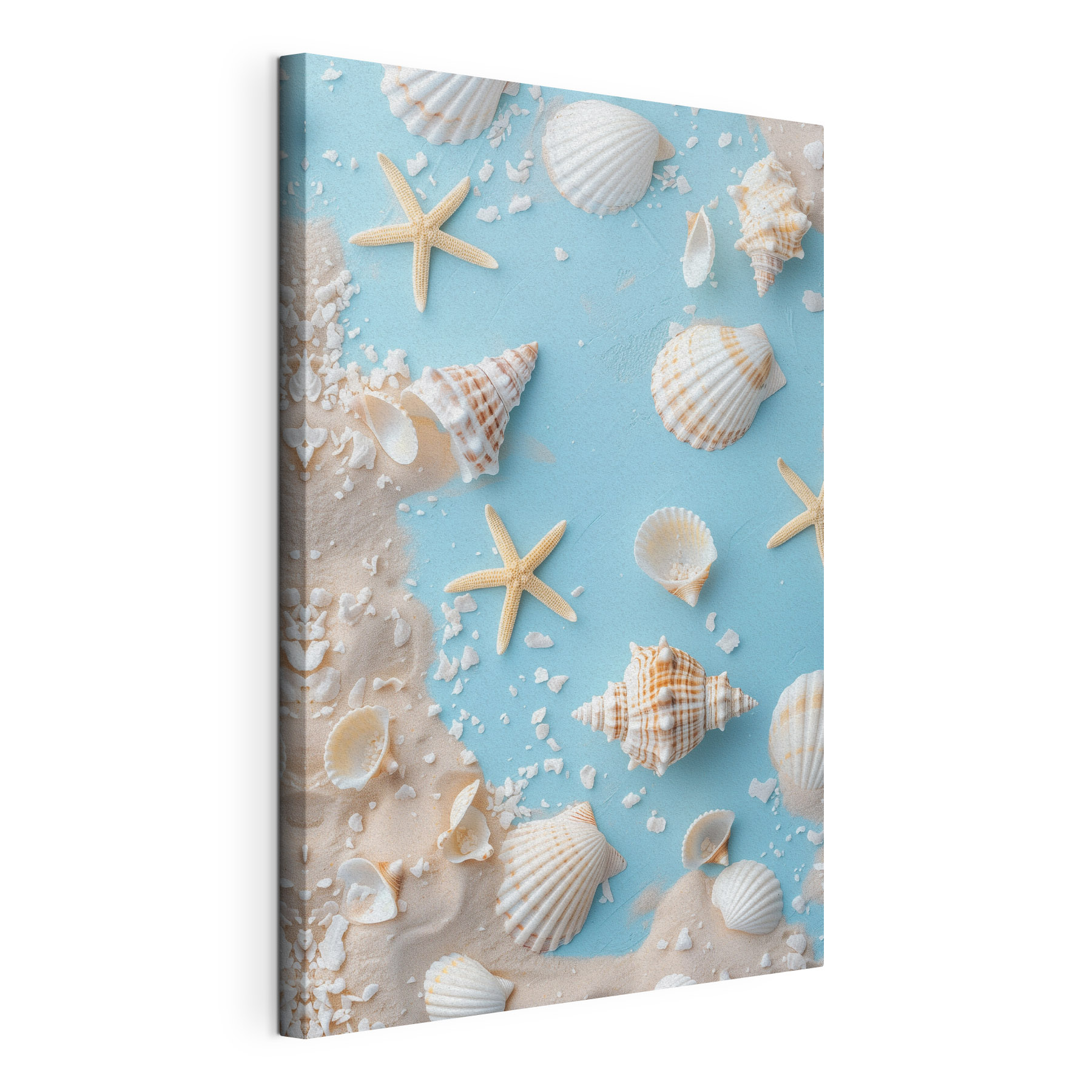 Group of seashells and starfish on sand Group of seashells and starfish on sand