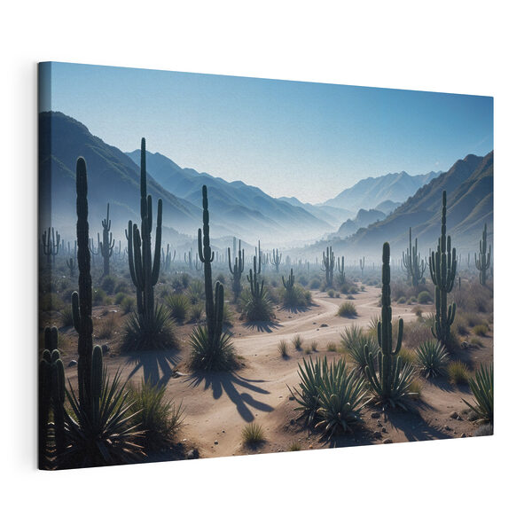 Canvas Schilderijen Cactus in een woestijn