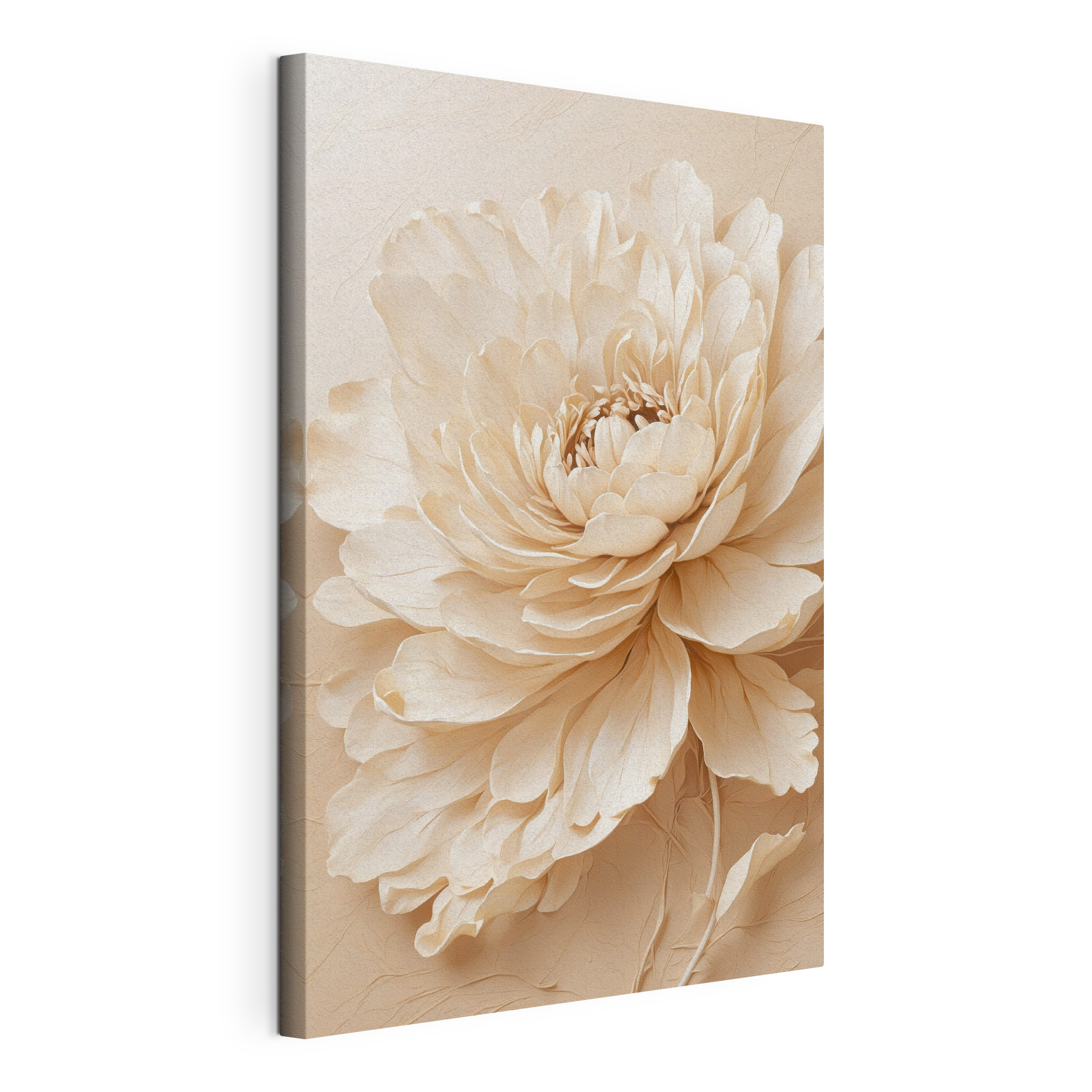 Close up of a flower Close up of a flower
