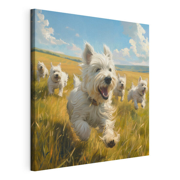 Canvas Schilderijen Groep witte honden in een veld