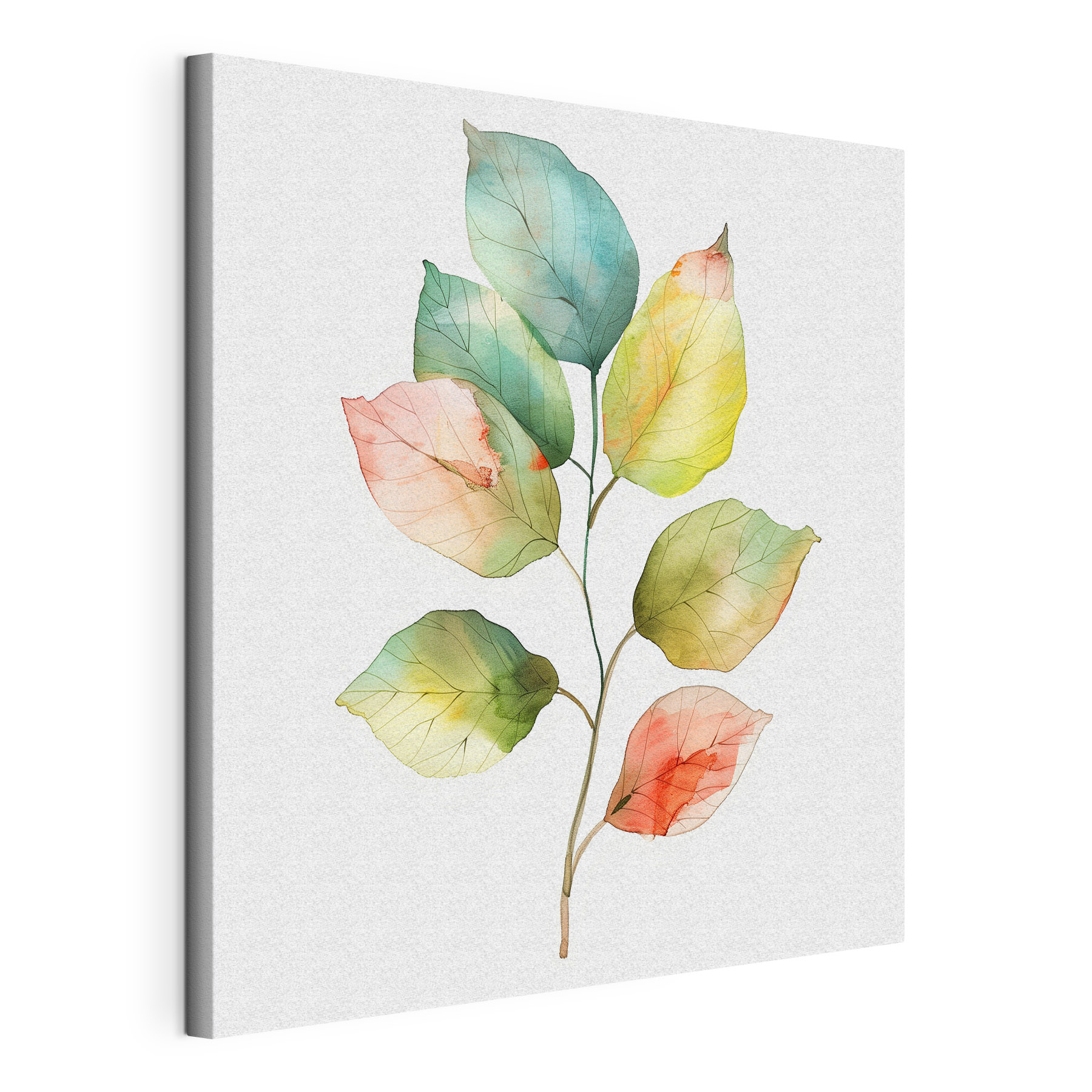 Watercolor of a leaf