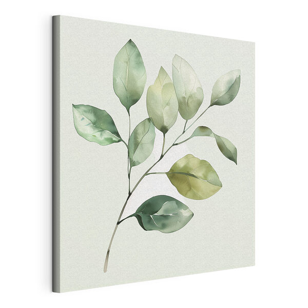 Canvas Schilderijen Groene bladplant met witte achtergrond (Artikelnummer: s40766) Canvas Schilderijen Canvas Schilderijen Groene bladplant met witte achtergrond (Artikelnummer: s40766)