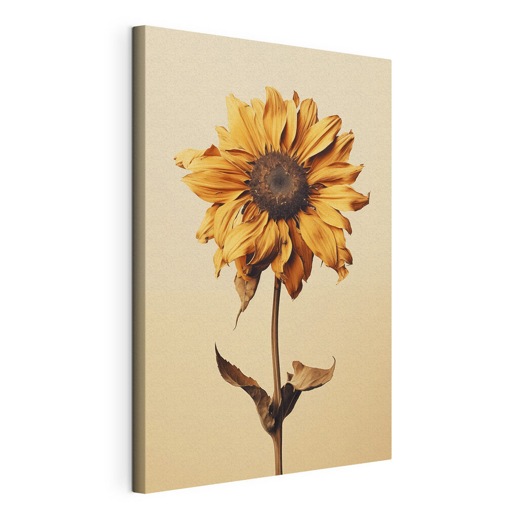 Sunflower with a brown center