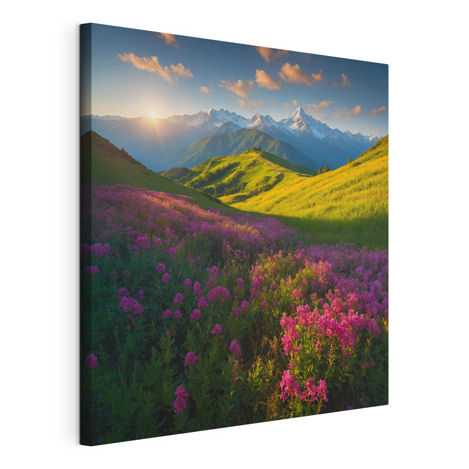 Field of flowers with mountains in the background Field of flowers with mountains in the background
