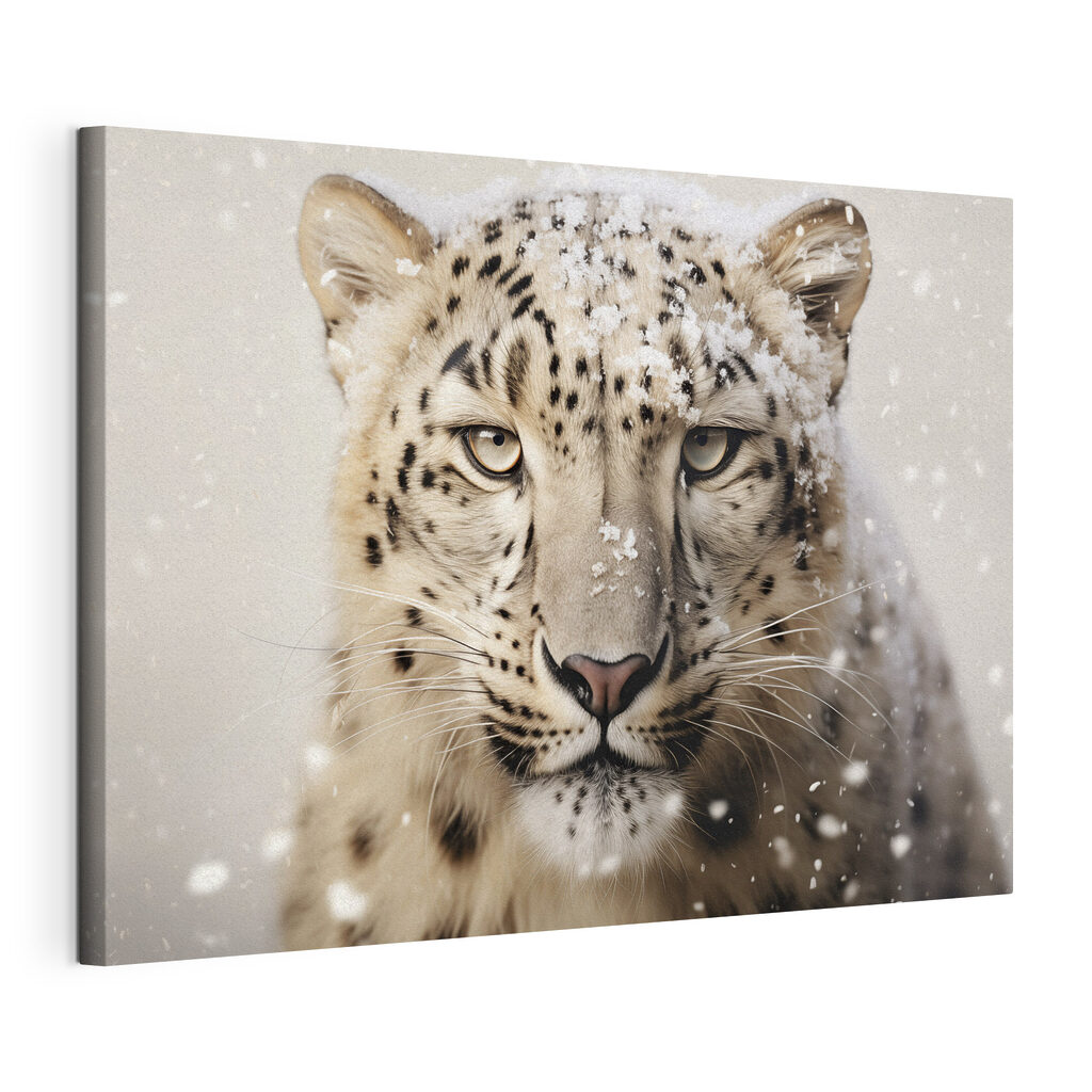 Snow leopard with snow on its head
