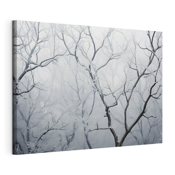 Tree branches with snow on them Tree branches with snow on them