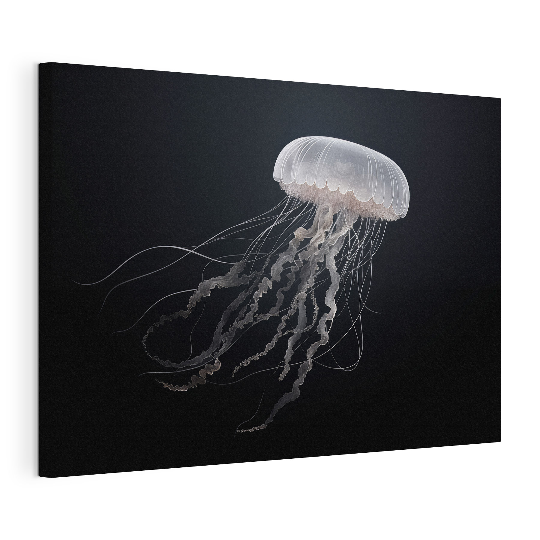 Jellyfish with long tentacles Jellyfish with long tentacles